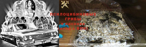 метамфетамин Белокуриха