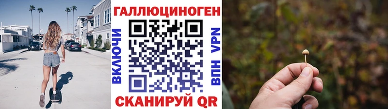 Псилоцибиновые грибы Psilocybine cubensis blacksprut tor Рудня купить